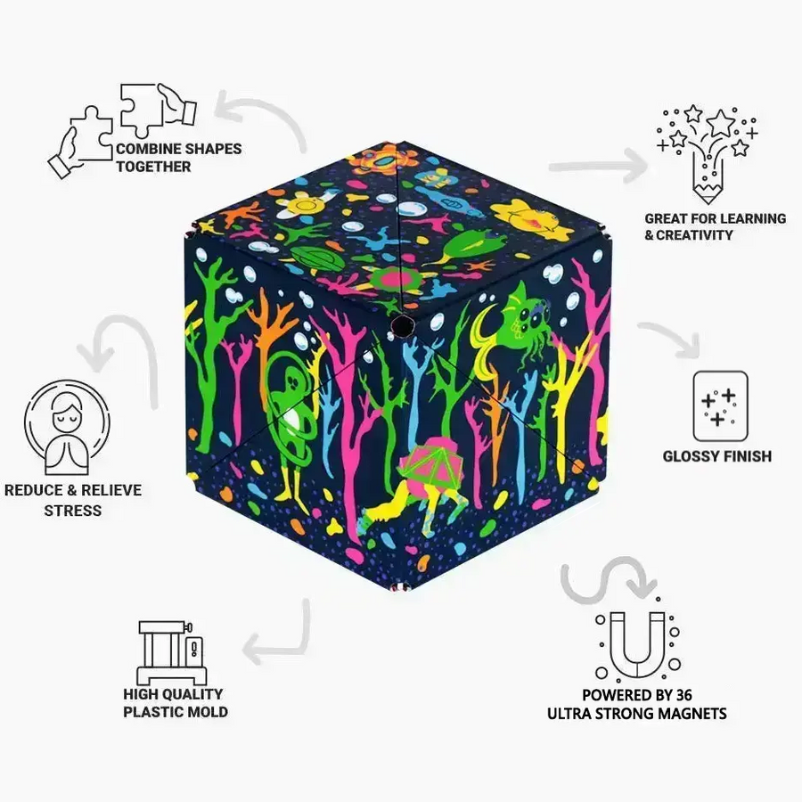 Meow Wolf Series - Gift Ready